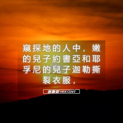 Picture 05 - 民 數 記 14:6 CUVT - 窺 探 地 的 人 中 ， 嫩 的 兒 子 約 - Bible Verse Picture