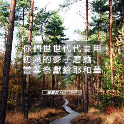 Picture 05 - 民 數 記 15:21 CUVT - 你 們 世 世 代 代 要 用 初 熟 的 麥 - Bible Verse Picture