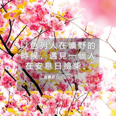 Picture 05 - 民 數 記 15:32 CUVT - 以 色 列 人 在 曠 野 的 時 候 ， 遇 - Bible Verse Picture