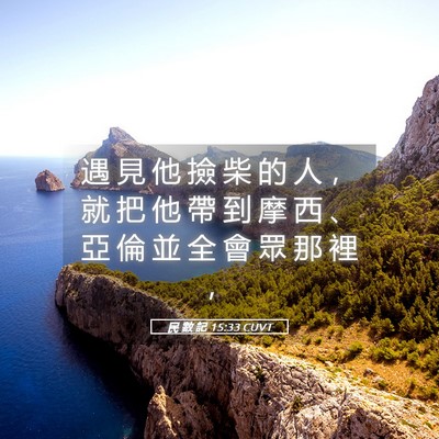 Picture 05 - 民 數 記 15:33 CUVT - 遇 見 他 撿 柴 的 人 ， 就 把 他 帶 - Bible Verse Picture
