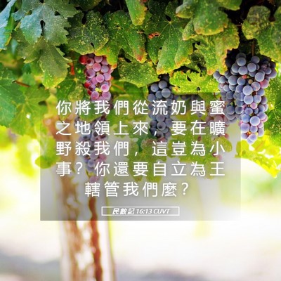 Picture 05 - 民 數 記 16:13 CUVT - 你 將 我 們 從 流 奶 與 蜜 之 地 領 - Bible Verse Picture