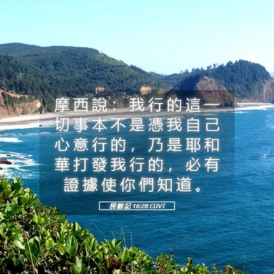 Picture 05 - 民 數 記 16:28 CUVT - 摩 西 說 ： 我 行 的 這 一 切 事 本 - Bible Verse Picture