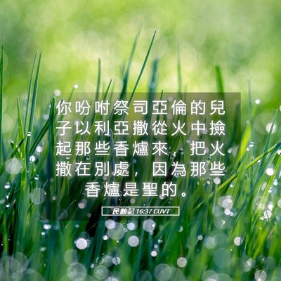 Picture 05 - 民 數 記 16:37 CUVT - 你 吩 咐 祭 司 亞 倫 的 兒 子 以 利 - Bible Verse Picture