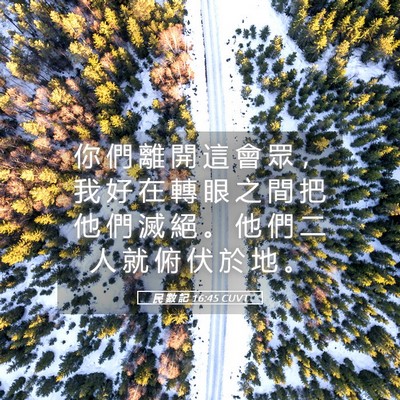 Picture 05 - 民 數 記 16:45 CUVT - 你 們 離 開 這 會 眾 ， 我 好 在 轉 - Bible Verse Picture