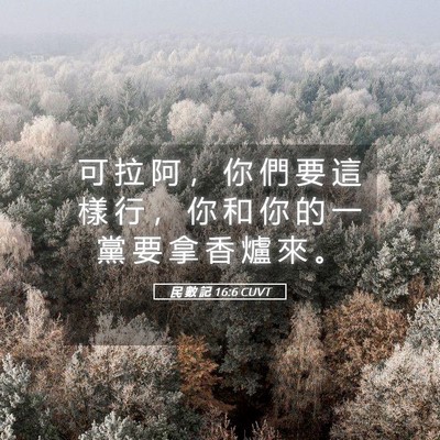 Picture 05 - 民 數 記 16:6 CUVT - 可 拉 阿 ， 你 們 要 這 樣 行 ， 你 - Bible Verse Picture