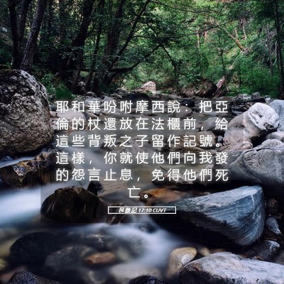 Picture 05 - 民 數 記 17:10 CUVT - 耶 和 華 吩 咐 摩 西 說 ： 把 亞 倫 - Bible Verse Picture