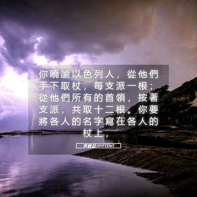 Picture 05 - 民 數 記 17:2 CUVT - 你 曉 諭 以 色 列 人 ， 從 他 們 手 - Bible Verse Picture