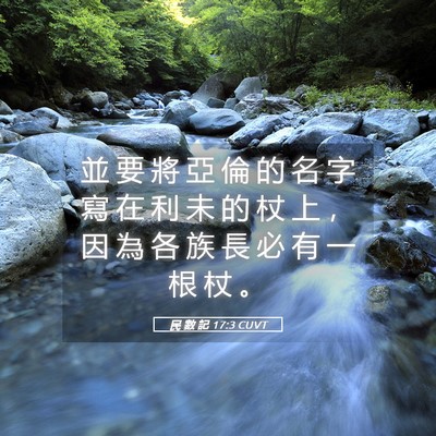 Picture 05 - 民 數 記 17:3 CUVT - 並 要 將 亞 倫 的 名 字 寫 在 利 未 - Bible Verse Picture