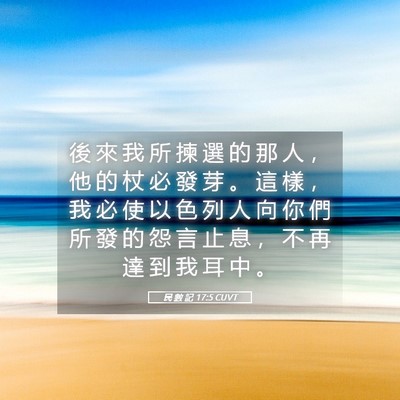 Picture 05 - 民 數 記 17:5 CUVT - 後 來 我 所 揀 選 的 那 人 ， 他 的 - Bible Verse Picture