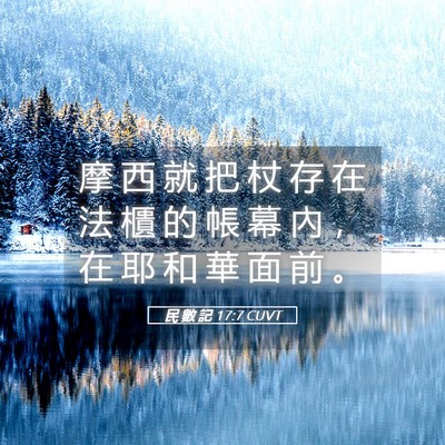 Picture 05 - 民 數 記 17:7 CUVT - 摩 西 就 把 杖 存 在 法 櫃 的 帳 幕 - Bible Verse Picture