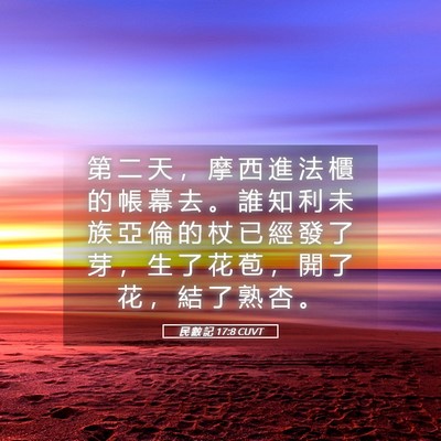 Picture 05 - 民 數 記 17:8 CUVT - 第 二 天 ， 摩 西 進 法 櫃 的 帳 幕 - Bible Verse Picture