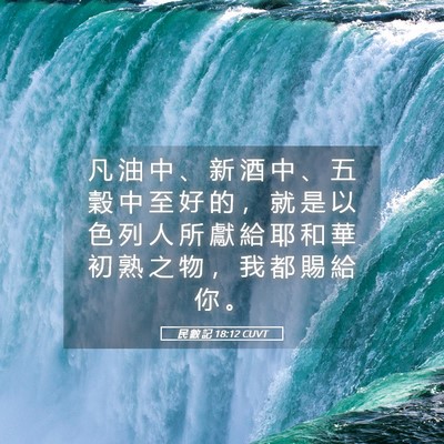 Picture 05 - 民 數 記 18:12 CUVT - 凡 油 中 、 新 酒 中 、 五 穀 中 至 - Bible Verse Picture