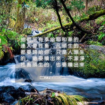 Picture 05 - 民 數 記 18:15 CUVT - 他 們 所 有 奉 給 耶 和 華 的 ， 連 - Bible Verse Picture