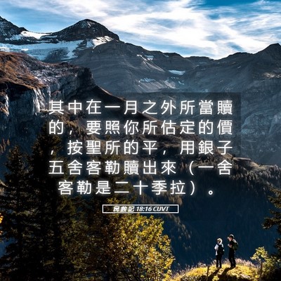 Picture 05 - 民 數 記 18:16 CUVT - 其 中 在 一 月 之 外 所 當 贖 的 ， - Bible Verse Picture