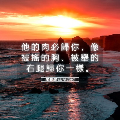 Picture 05 - 民 數 記 18:18 CUVT - 他 的 肉 必 歸 你 ， 像 被 搖 的 胸 - Bible Verse Picture