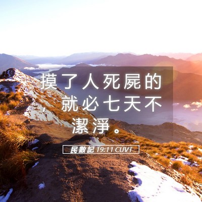 Picture 05 - 民 數 記 19:11 CUVT - 摸 了 人 死 屍 的 ， 就 必 七 天 不 - Bible Verse Picture