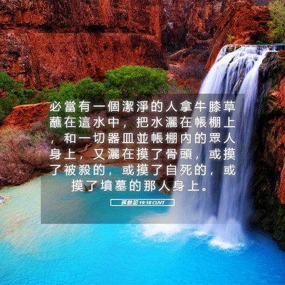 Picture 05 - 民 數 記 19:18 CUVT - 必 當 有 一 個 潔 淨 的 人 拿 牛 膝 - Bible Verse Picture