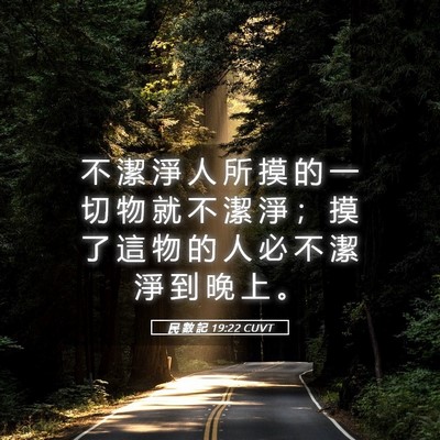 Picture 05 - 民 數 記 19:22 CUVT - 不 潔 淨 人 所 摸 的 一 切 物 就 不 - Bible Verse Picture