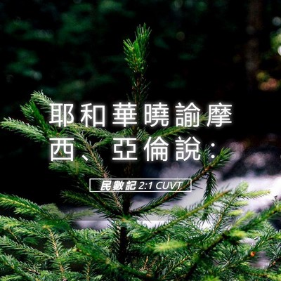 Picture 05 - 民 數 記 2:1 CUVT - 耶 和 華 曉 諭 摩 西 、 亞 倫 說 - Bible Verse Picture