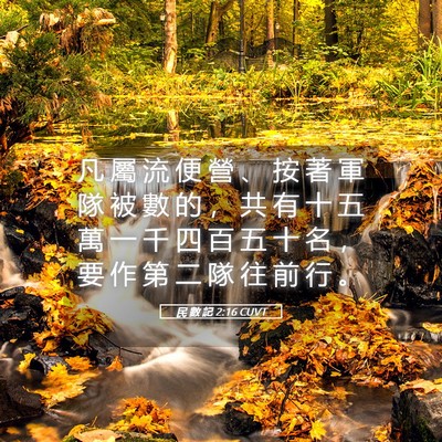 Picture 05 - 民 數 記 2:16 CUVT - 凡 屬 流 便 營 、 按 著 軍 隊 被 數 - Bible Verse Picture