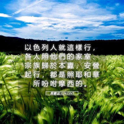 Picture 05 - 民 數 記 2:34 CUVT - 以 色 列 人 就 這 樣 行 ， 各 人 照 - Bible Verse Picture