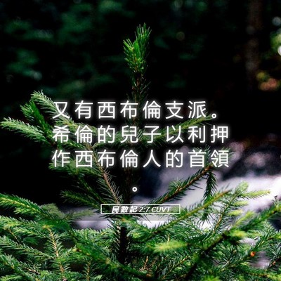 Picture 05 - 民 數 記 2:7 CUVT - 又 有 西 布 倫 支 派 。 希 倫 的 兒 - Bible Verse Picture