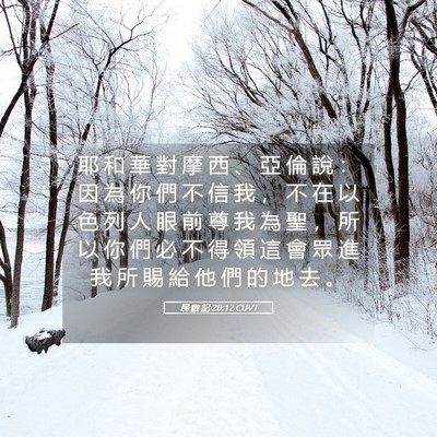 Picture 05 - 民 數 記 20:12 CUVT - 耶 和 華 對 摩 西 、 亞 倫 說 ： 因 - Bible Verse Picture