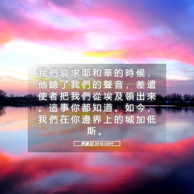 Picture 05 - 民 數 記 20:16 CUVT - 我 們 哀 求 耶 和 華 的 時 候 ， 他 - Bible Verse Picture