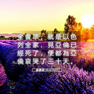 Picture 05 - 民 數 記 20:29 CUVT - 全 會 眾 ， 就 是 以 色 列 全 家 ， - Bible Verse Picture