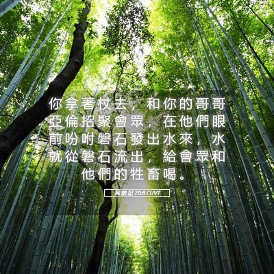 Picture 05 - 民 數 記 20:8 CUVT - 你 拿 著 杖 去 ， 和 你 的 哥 哥 亞 - Bible Verse Picture