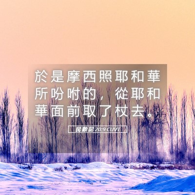 Picture 05 - 民 數 記 20:9 CUVT - 於 是 摩 西 照 耶 和 華 所 吩 咐 的 - Bible Verse Picture