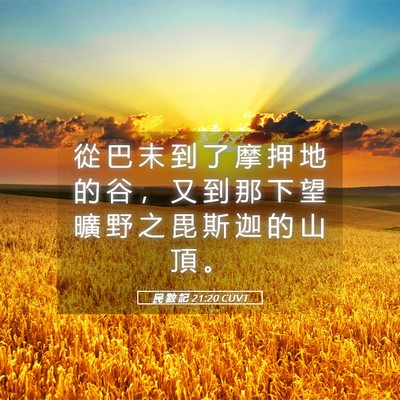 Picture 05 - 民 數 記 21:20 CUVT - 從 巴 末 到 了 摩 押 地 的 谷 ， 又 - Bible Verse Picture