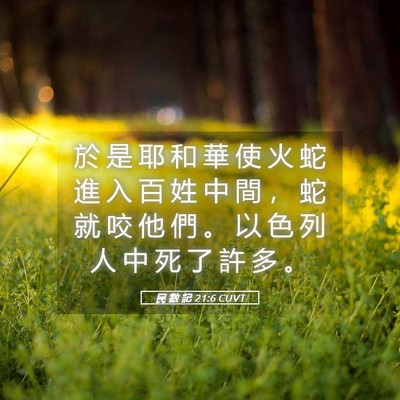 Picture 05 - 民 數 記 21:6 CUVT - 於 是 耶 和 華 使 火 蛇 進 入 百 姓 - Bible Verse Picture