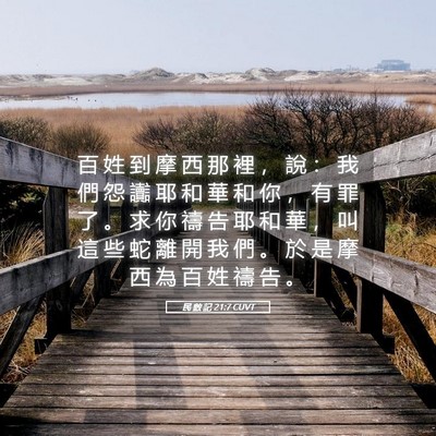 Picture 05 - 民 數 記 21:7 CUVT - 百 姓 到 摩 西 那 裡 ， 說 ： 我 們 - Bible Verse Picture