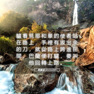 Picture 05 - 民 數 記 22:23 CUVT - 驢 看 見 耶 和 華 的 使 者 站 在 路 - Bible Verse Picture