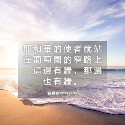 Picture 05 - 民 數 記 22:24 CUVT - 耶 和 華 的 使 者 就 站 在 葡 萄 園 - Bible Verse Picture
