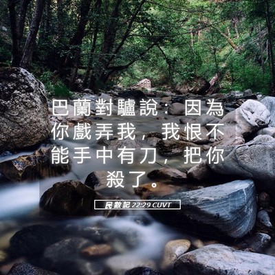 Picture 05 - 民 數 記 22:29 CUVT - 巴 蘭 對 驢 說 ： 因 為 你 戲 弄 我 - Bible Verse Picture