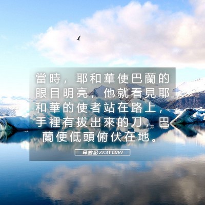 Picture 05 - 民 數 記 22:31 CUVT - 當 時 ， 耶 和 華 使 巴 蘭 的 眼 目 - Bible Verse Picture