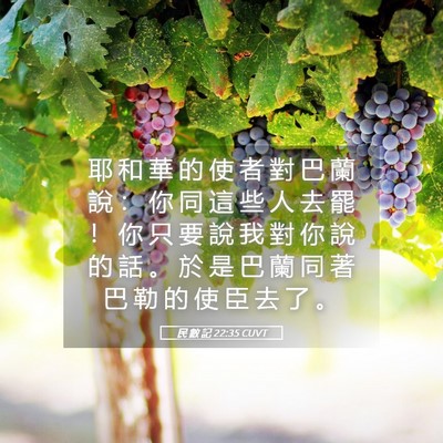 Picture 05 - 民 數 記 22:35 CUVT - 耶 和 華 的 使 者 對 巴 蘭 說 ： 你 - Bible Verse Picture