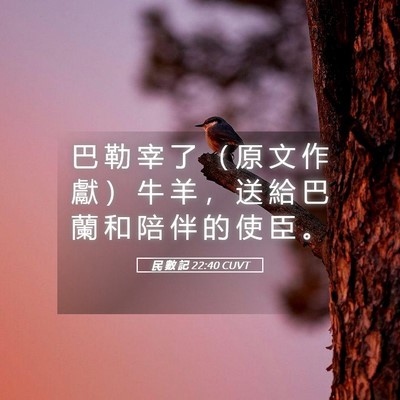 Picture 05 - 民 數 記 22:40 CUVT - 巴 勒 宰 了 （ 原 文 作 獻 ） 牛 羊 - Bible Verse Picture