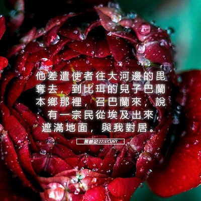 Picture 05 - 民 數 記 22:5 CUVT - 他 差 遣 使 者 往 大 河 邊 的 毘 奪 - Bible Verse Picture