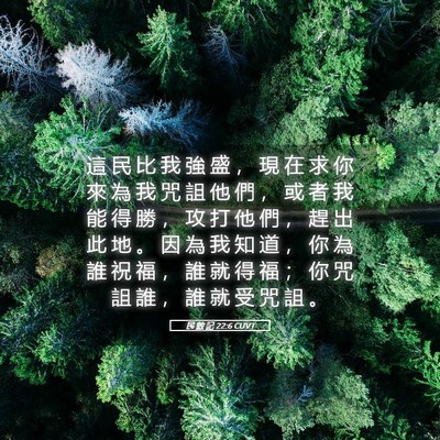 Picture 05 - 民 數 記 22:6 CUVT - 這 民 比 我 強 盛 ， 現 在 求 你 來 - Bible Verse Picture