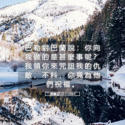 Picture 05 - 民 數 記 23:11 CUVT - 巴 勒 對 巴 蘭 說 ： 你 向 我 做 的 - Bible Verse Picture