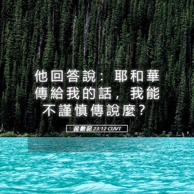 Picture 05 - 民 數 記 23:12 CUVT - 他 回 答 說 ： 耶 和 華 傳 給 我 的 - Bible Verse Picture