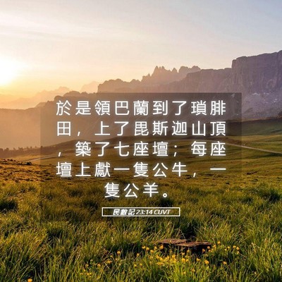 Picture 05 - 民 數 記 23:14 CUVT - 於 是 領 巴 蘭 到 了 瑣 腓 田 ， 上 - Bible Verse Picture