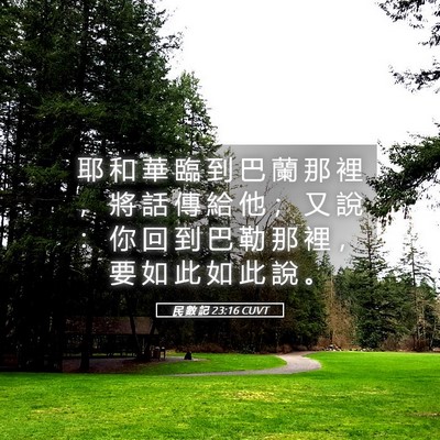 Picture 05 - 民 數 記 23:16 CUVT - 耶 和 華 臨 到 巴 蘭 那 裡 ， 將 話 - Bible Verse Picture
