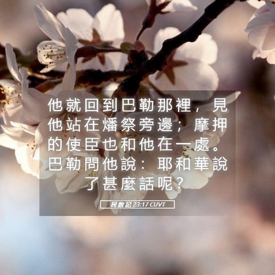 Picture 05 - 民 數 記 23:17 CUVT - 他 就 回 到 巴 勒 那 裡 ， 見 他 站 - Bible Verse Picture