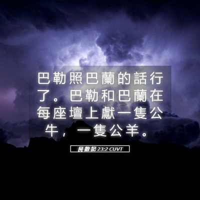 Picture 05 - 民 數 記 23:2 CUVT - 巴 勒 照 巴 蘭 的 話 行 了 。 巴 勒 - Bible Verse Picture