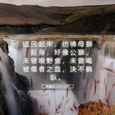 Picture 05 - 民 數 記 23:24 CUVT - 這 民 起 來 ， 彷 彿 母 獅 ， 挺 身 - Bible Verse Picture
