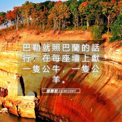 Picture 05 - 民 數 記 23:30 CUVT - 巴 勒 就 照 巴 蘭 的 話 行 ， 在 每 - Bible Verse Picture